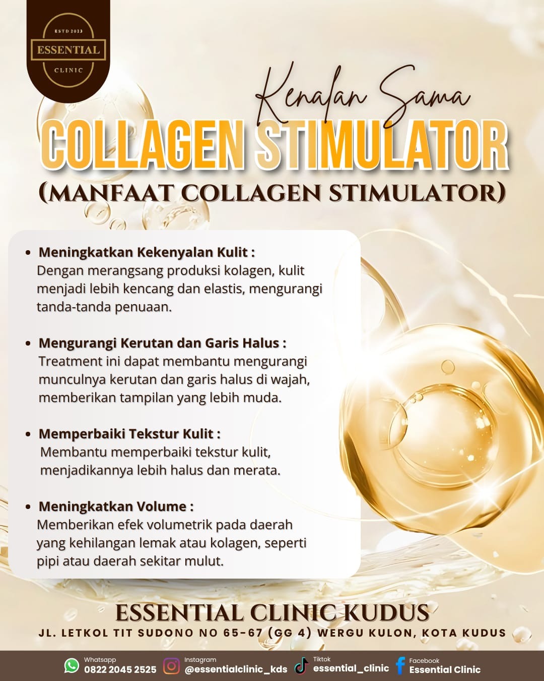 Flyer Essential Clinic 7 Flyer Essential Clinic 7